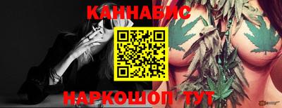 сатива Кингисепп