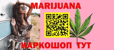 сатива Кингисепп