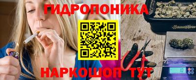 сатива Кингисепп